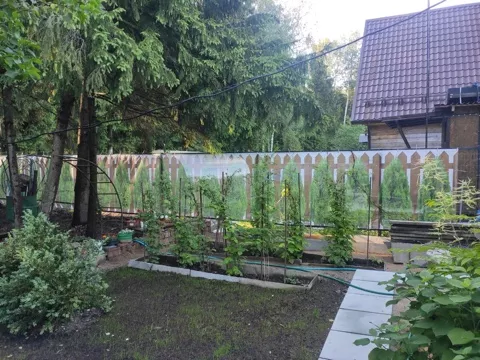 Фотосетка