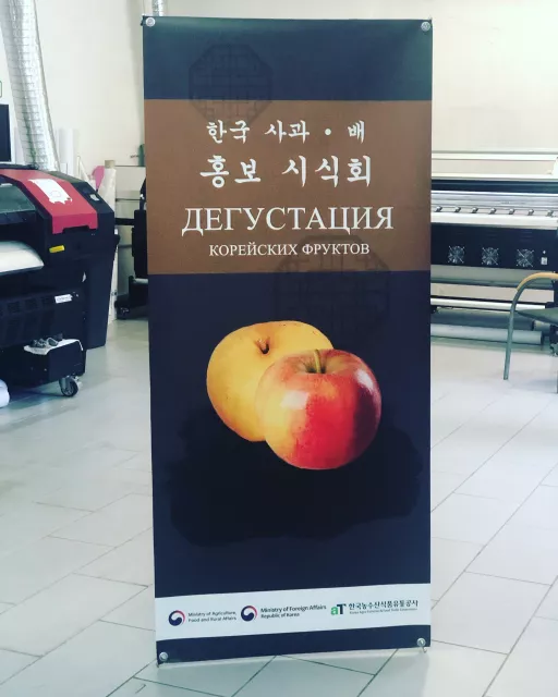 Ролл-ап для конференции